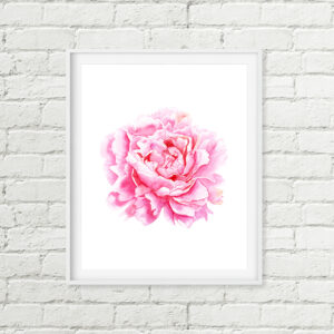 Pink Peony Printable Art, Soft Pink Floral Nursery Decor Download