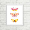 Butterfly Printable Wall Art