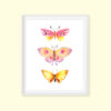 Butterfly Printable Wall Art